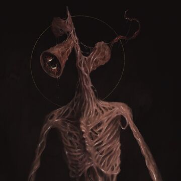 Bvfgj6rsjucobm