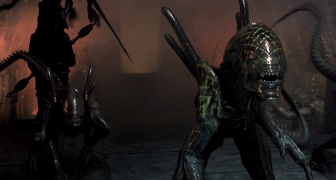 grid avp