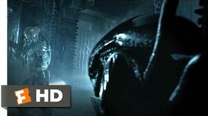Xenomorphs Gallery Villains Wiki Fandom Powered By Wikia