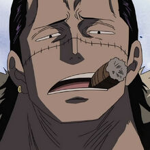 Crocodile One Piece Villains Wiki Fandom