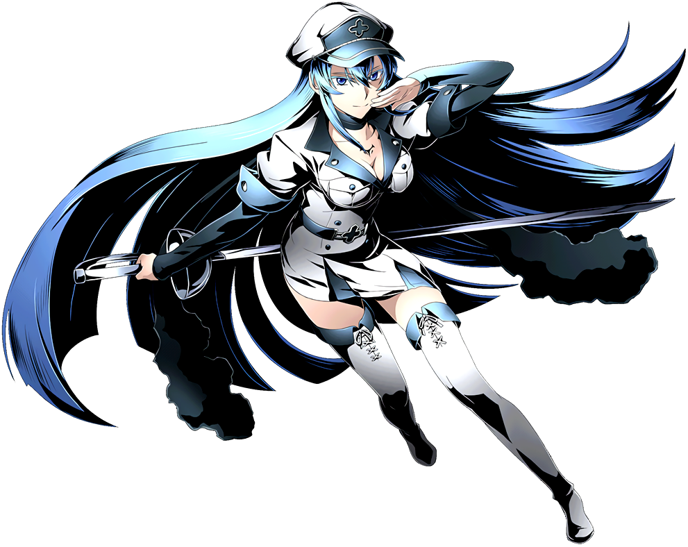 Esdeath Villains Wiki Fandom