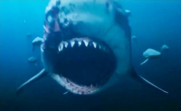 Bull Sharks Deep Blue Sea 2 Villains Wiki Fandom Powered By Wikia