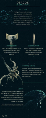 Deacon life cycle