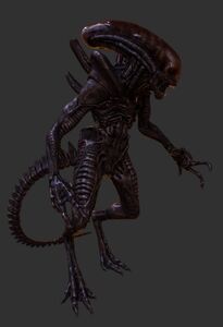 Xenomorphs/Gallery | Villains Wiki | Fandom