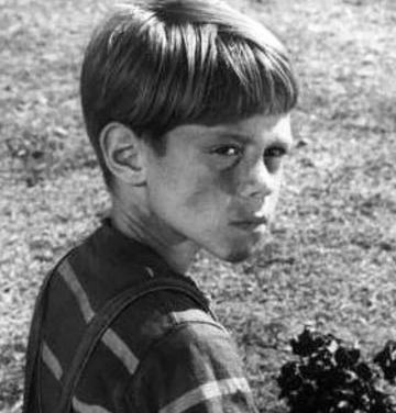 Anthony Fremont