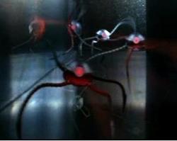 250px-Metal spiders2