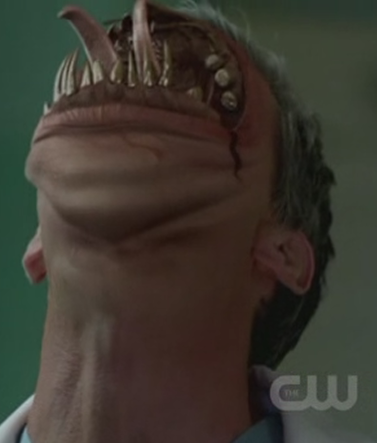 leviathan supernatural villains wiki fandom powered by wikia leviathan supernatural true form