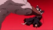 Ayon injures Momo