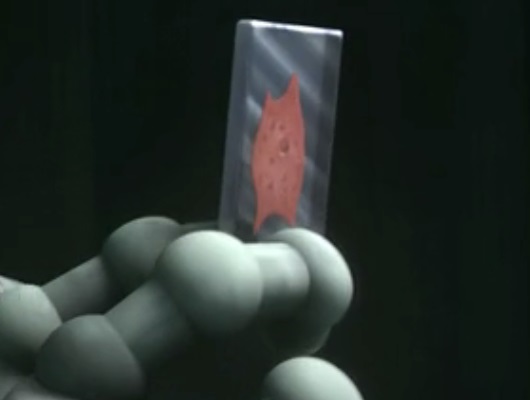 image the chip jpg villains wiki fandom powered by wikia