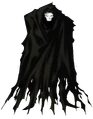 Image - True assassin cloaked.png | Villains Wiki | FANDOM powered by Wikia