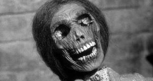 Norma Bates Villains Wiki Fandom Powered By Wikia