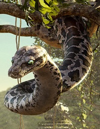 What is the snake called in jungle book