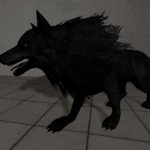 Scp 023 Villains Wiki Fandom