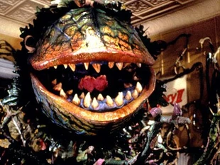 Audrey II  Villains Wiki  FANDOM powered by Wikia