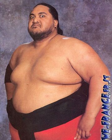 yokozuna wrestler