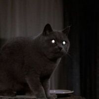 Church Stephen King Villains Wiki Fandom