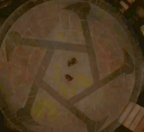 The Organization The Cabin In The Woods Villains Wiki Fandom