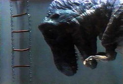 carnosaur t rex
