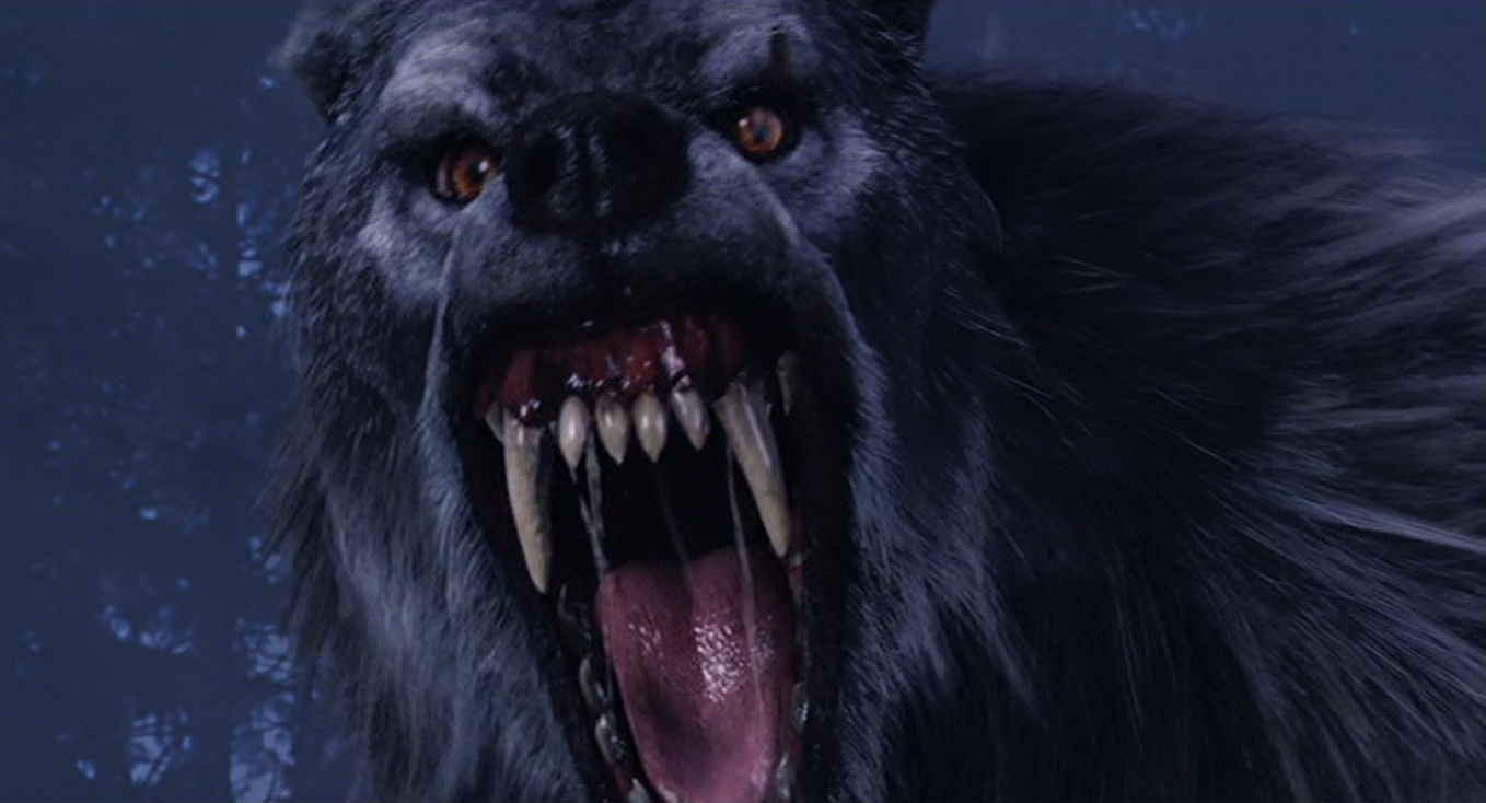 Grey Werewolf | Villains Wiki | Fandom