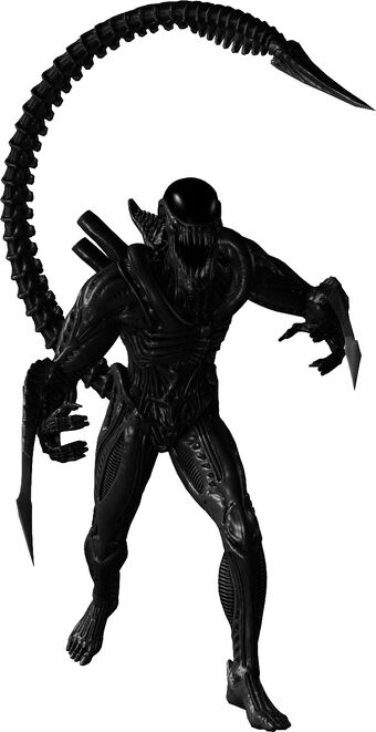 Xenomorphs Villains Wiki Fandom