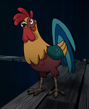 Rooster lottery