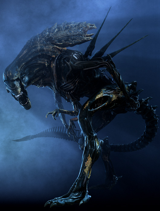 Alien Vs Predator Xenomorph Queen
