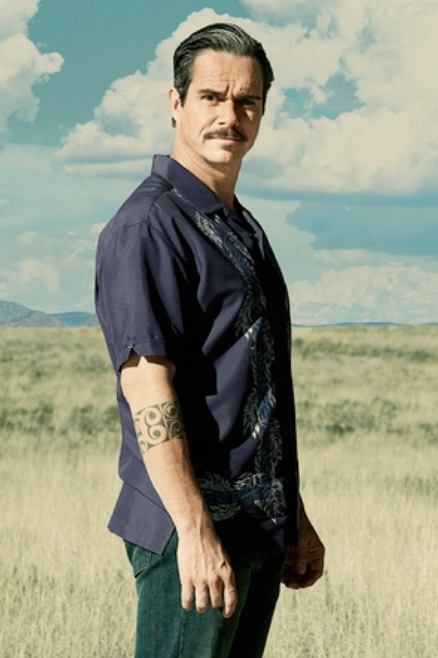Lalo Salamanca | Villains Wiki | Fandom