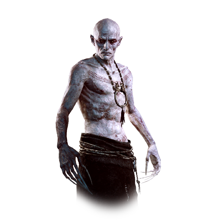 The Witcher 3 The Unseen Elder
