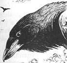 Ironbeak