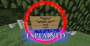 Null (Minecraft)  Villains Fanon Wiki  FANDOM powered by 