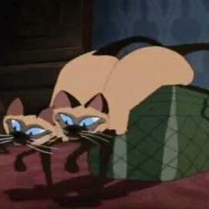The Siamese Cat Song Villain Song Wiki Fandom