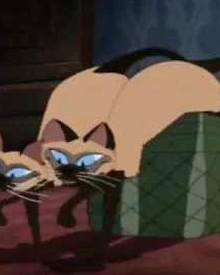 The Siamese Cat Song Villain Song Wiki Fandom