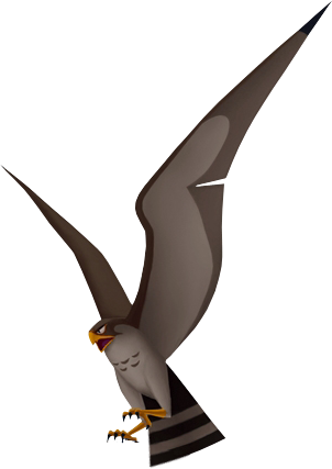 Hayabusa CGI