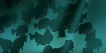 Piranhas Help I M A Fish Disney Versus Non Disney Villains Wiki Fandom