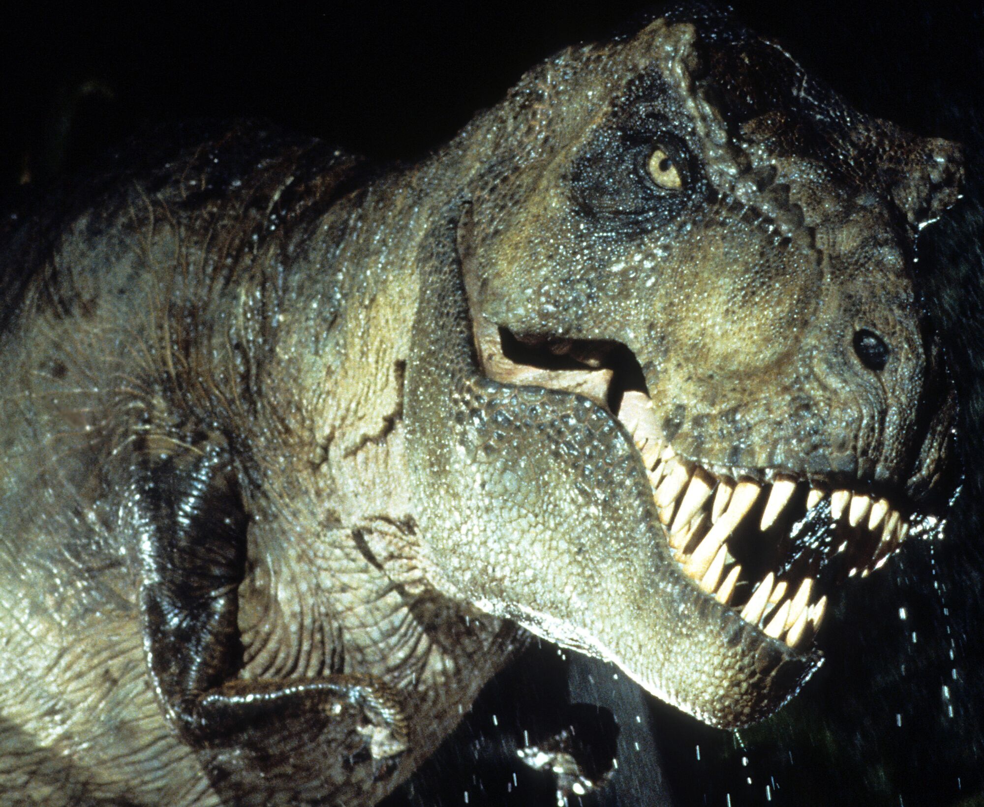 tiny dinosaur in jurassic park