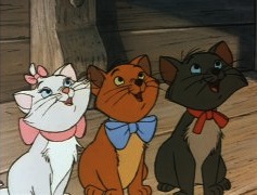 Duchess' Kittens
