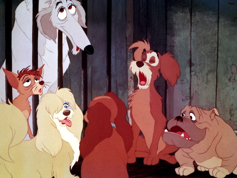 Pound Dogs, (Lady and the Tramp) Disney Versus NonDisney Villains