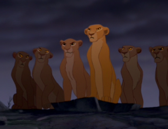 Lionesses