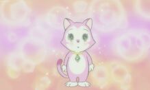 CatMiyoko