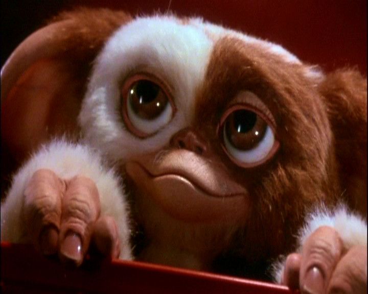 Gizmo (Gremlin) | Wiki Villanos del Cine de Terror | Fandom