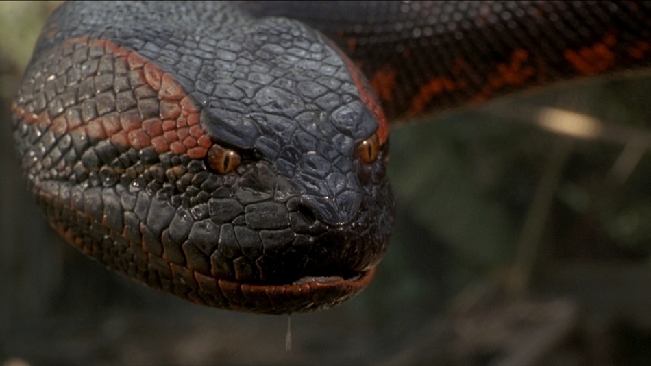 Anacondas | Wiki Villanos del Cine de Terror | FANDOM powered by Wikia