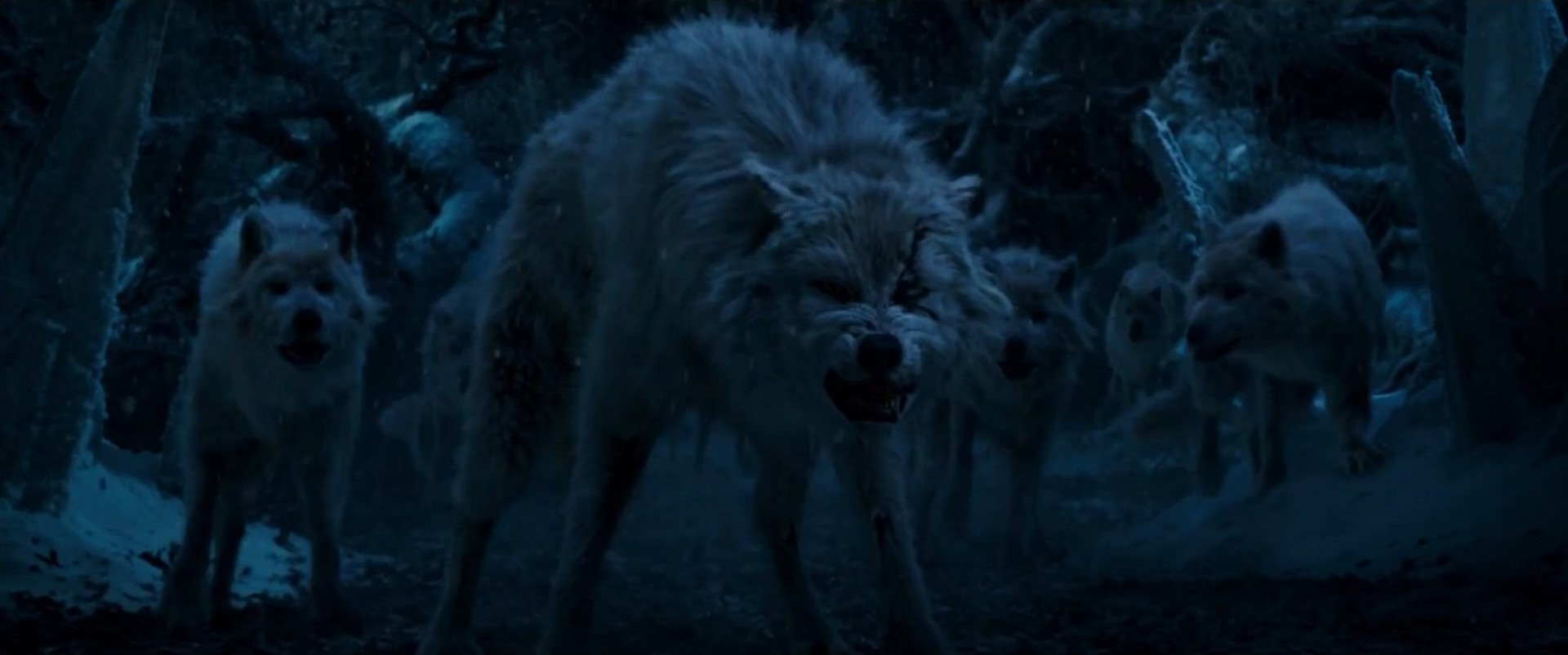 Wolves (Beauty and the Beast) | Vinnytovar Wiki | Fandom