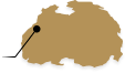 D&FLocation