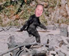 Billfoot