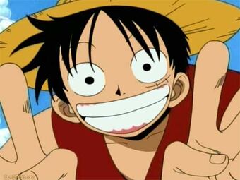 One Piece Virtual Arena Wiki Fandom