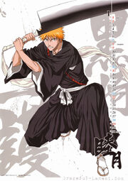 Ichigo-2-