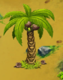 Coconut Tree (VVO2)