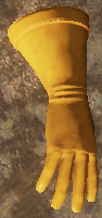 Glove Worldmodel