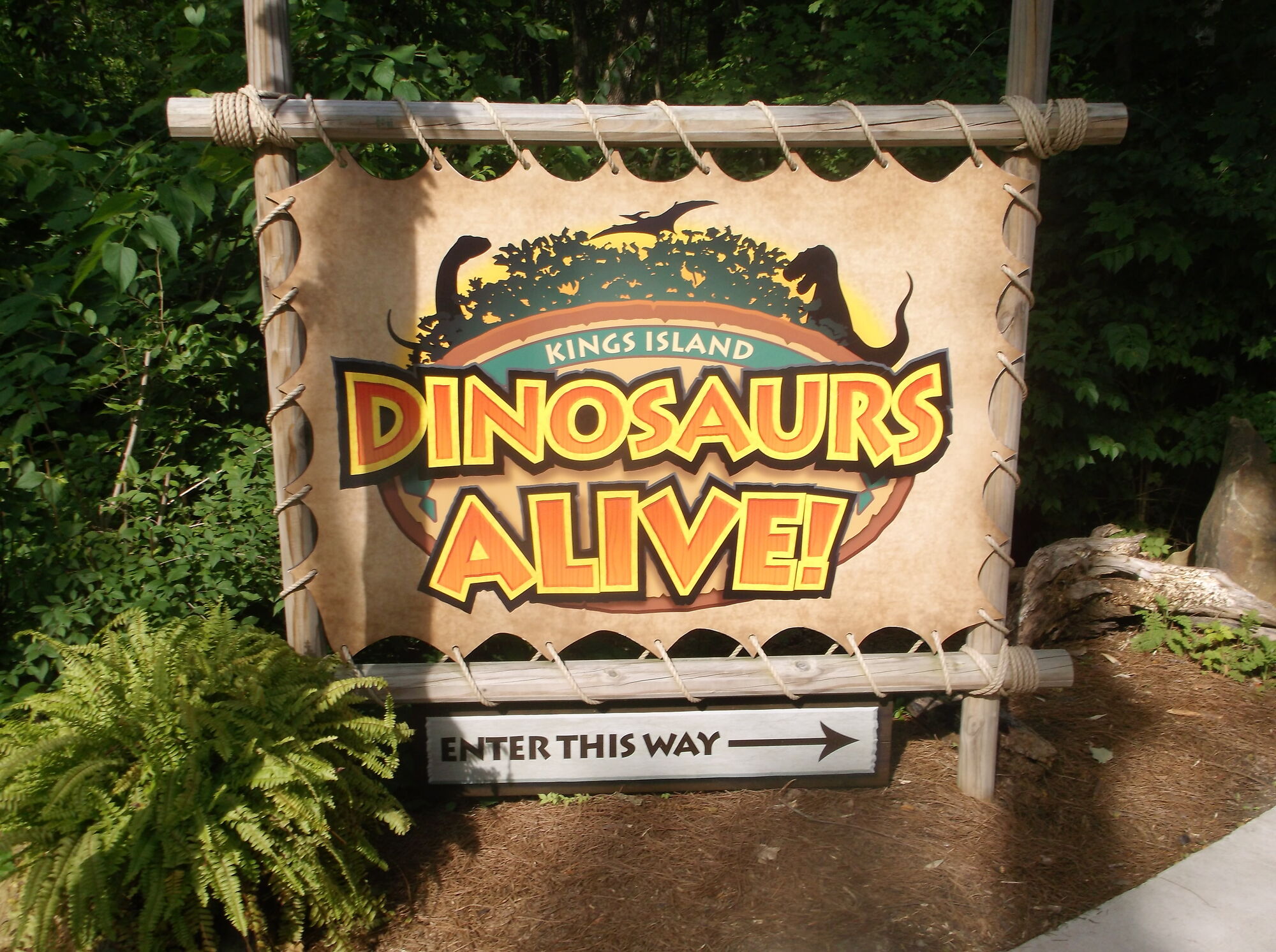 dinosaurs alive