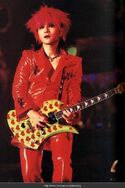 Hide